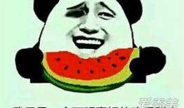 吃瓜是什么意思.吃瓜网,网络热词背后的娱乐现象